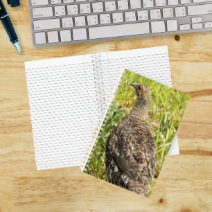 Rußhuhn-Wildtier-Foto Notizbuch
