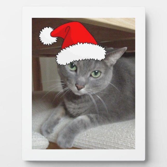 Russian Blue Cat Christmas Fotoplatte (Vorderseite)