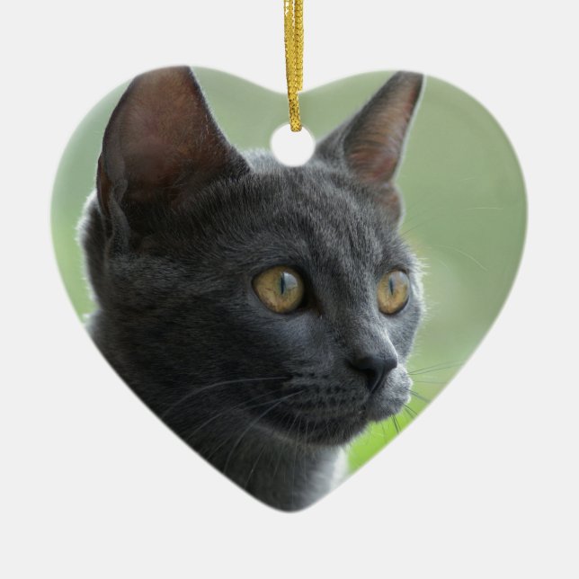 Russian Blue Cat Keramik Ornament (Vorne)