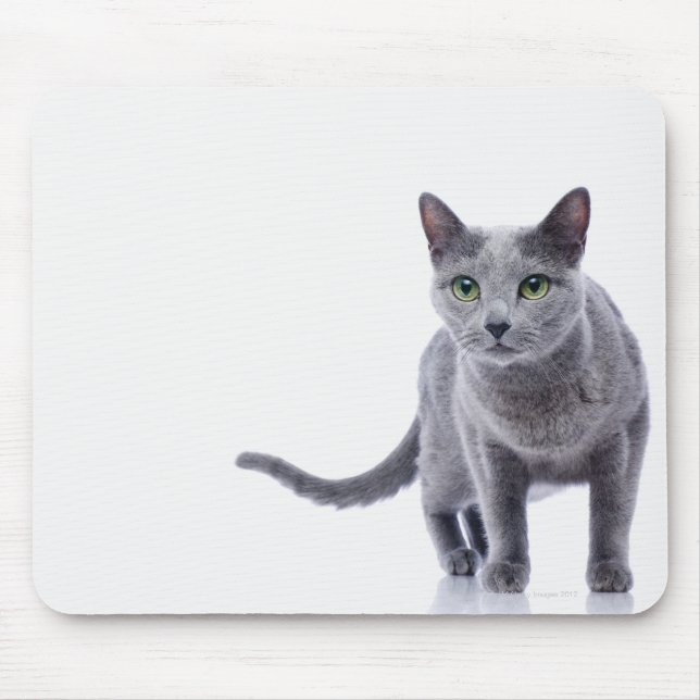 Russian Blue Cat Mousepad (Vorne)