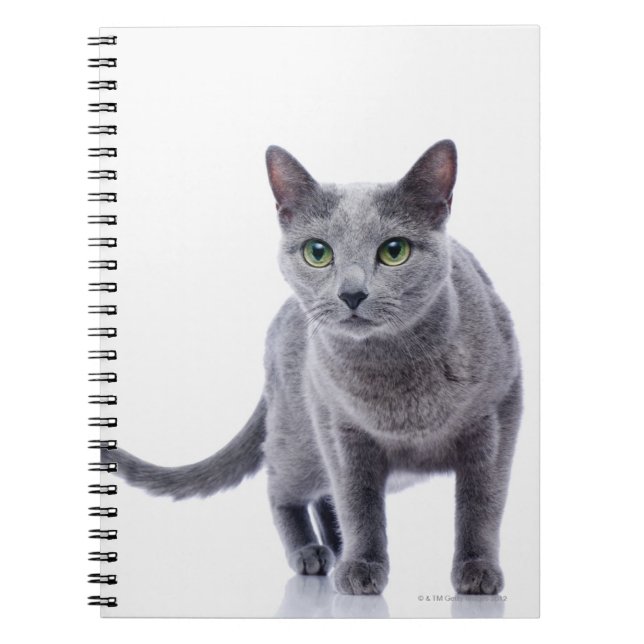 Russian Blue Cat Notizblock (Vorderseite)