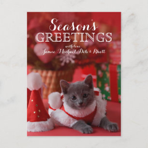 Russian Blue Kitten and Christmas Feiertagspostkarte