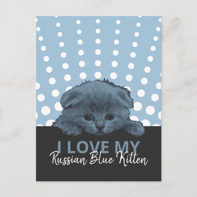 Russian Blue Kitten Postkarte (Vorderseite)