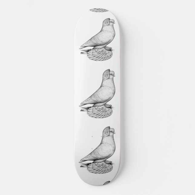 Russian Tumbler Pigeon Skateboard (Vorderseite)
