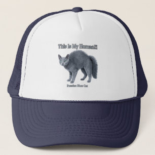 Russisch Blau Katze – Das ist mein Mensch Truckerkappe