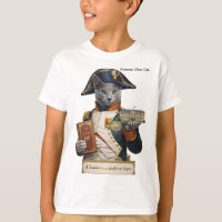 Russisch Blau Napoleon Bonaparte Katze