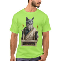 Russisch Blau Socrates Katze