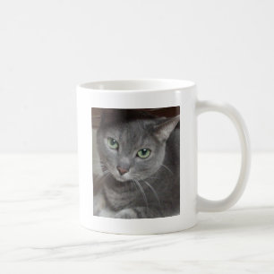 Russisch-graue Katze Kaffeetasse