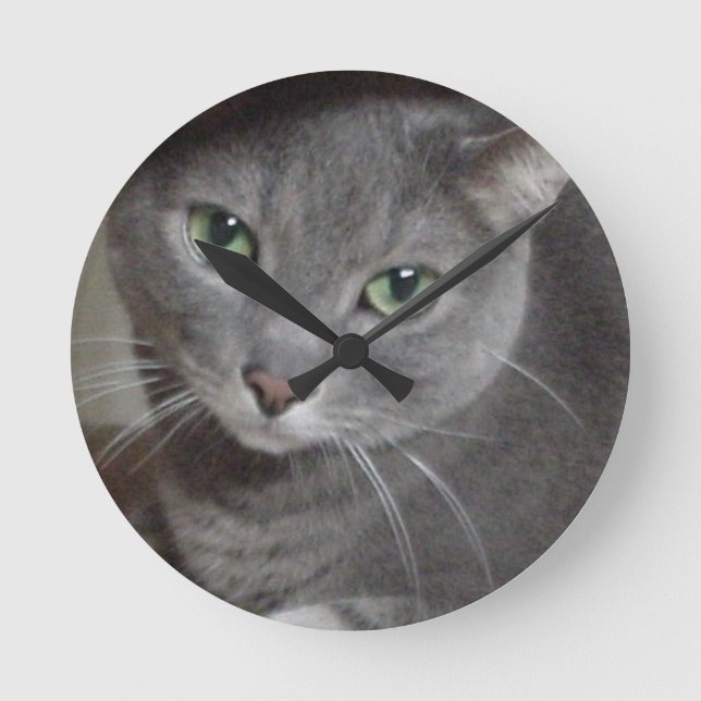 Russisch-graue Katze Runde Wanduhr (Vorderseite)