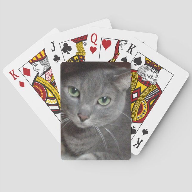 Russisch-graue Katze Spielkarten (Rückseite)