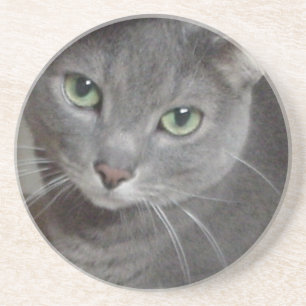 Russisch-graue Katze Untersetzer