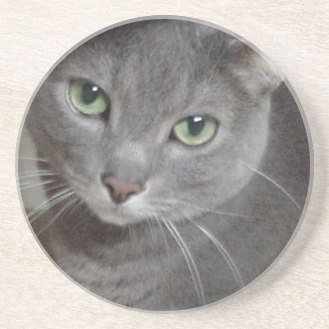 Russisch-graue Katze Untersetzer (Vorne)