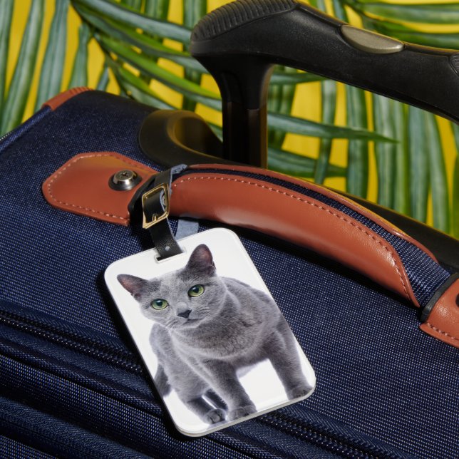 Russische blaue Katze Gepäckanhänger (Vorderseite Insitu 1)