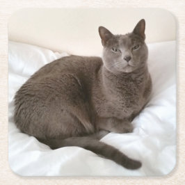 Russische blaue Katzen-Untersetzer Rechteckiger Pappuntersetzer