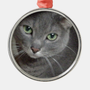 Russische Blauer Graukatze Silbernes Ornament