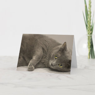 Russische Blue Cat Blank Note Card Karte