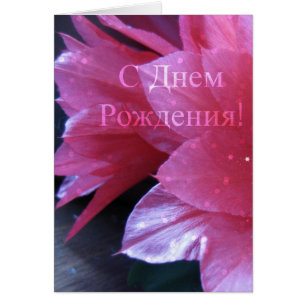 Russische Geburtskarte, Schlumbergera