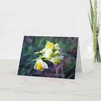 Russische Geburtstagskarte, Linaria Karte