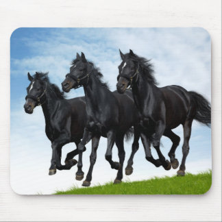 Russische Troika Mousepad