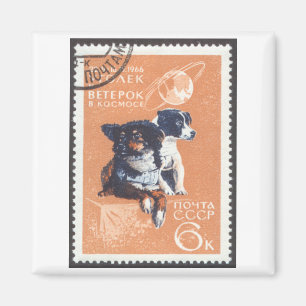 Russische Weltraumhunde 1966 Kosmos 110 Magnet