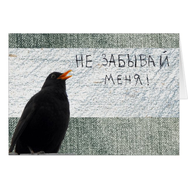Russischer Blackbird: Vergesst mir keine Karte (Vorderseite (Horizontal))
