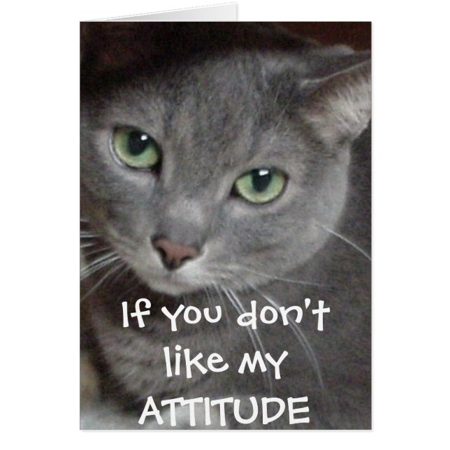 Russischer Blauer Grau Katze Attitude-Spaß (Vorne)