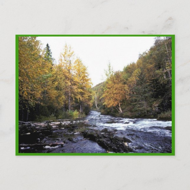 Russischer Fluss Postkarte (Vorderseite)