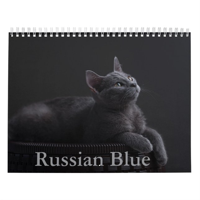 Russischer Kalender für die Blaue Katze (Titelbild)