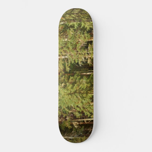 Russischer Wald (Rustikale Landschaft) (Grünwald) Skateboard (Vorderseite)