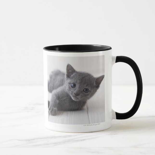 Russisches blaues Kätzchen Tasse (Rechts)