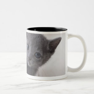 Russisches blaues Kätzchen Zweifarbige Tasse