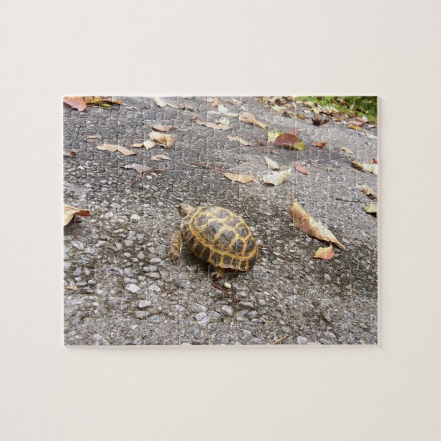 Russisches Schildkröten-Vermittler-Puzzlespiel (Horizontal)
