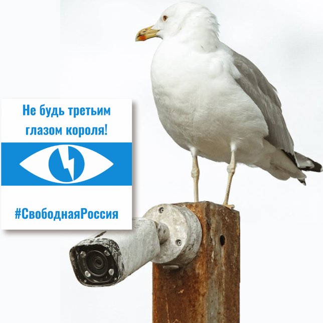 Russland - Freies demokratisches Russisch - Dritte Aufkleber (Russia Free Democratic Russian - Third Eye Sticker by The Social Observatory Shop)