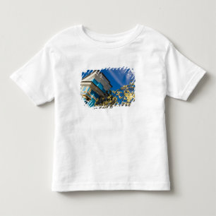 Russland, Pushkin. Tortdetail und Stützturm Kleinkind T-shirt