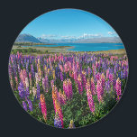 Russle Lupines am Tekapo-See | Neuseeland Magnet<br><div class="desc">Dieses Foto zeigt die Russlupinen in Blüte mit Blick auf den Tekapo-See,  Neuseeland.</div>