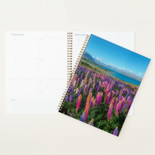 Russle Lupines au lac Tekapo Nouvelle-Zélande