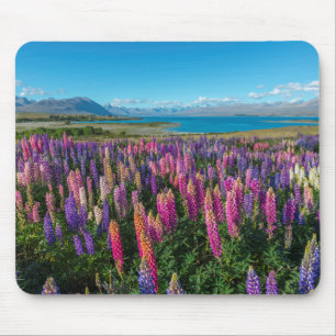 Russle Lupines in See Tekapo   Neuseeland Mousepad