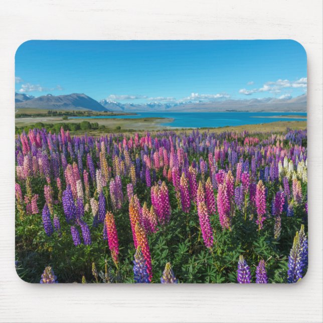 Russle Lupines in See Tekapo | Neuseeland Mousepad (Vorne)