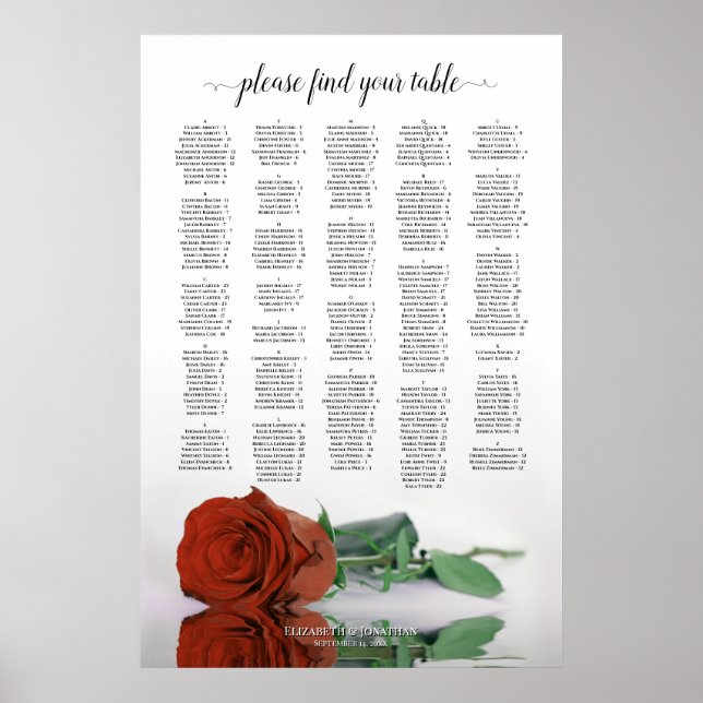 Rust Orange Rose Chic Alphabetic Seekarte Poster (Vorne)
