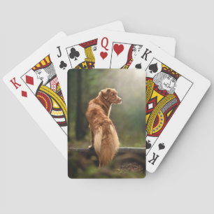 Rust Retriever von Nova Scotia Spielkarten