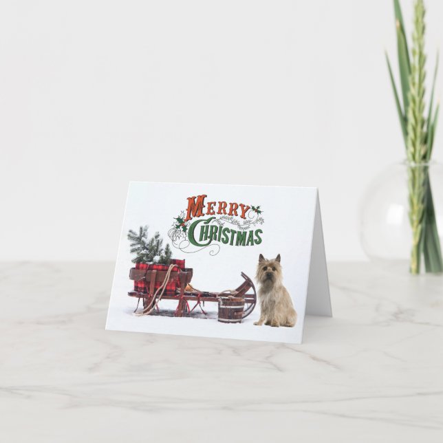 Rustic Cairn Terrier Weihnachten (Vorderseite)