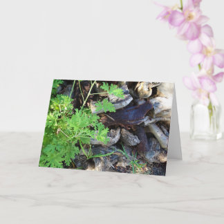 Rustic Citronella Leaf Portrait Card Karte