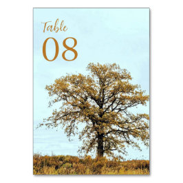 Rustic Oak Tree Autumn Wedding Tischnummer