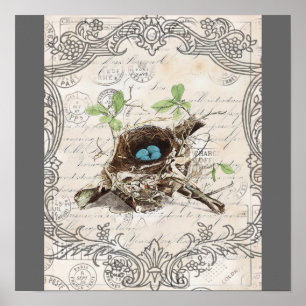 rustikal-chic-französisches botanisches Vogelnest Poster