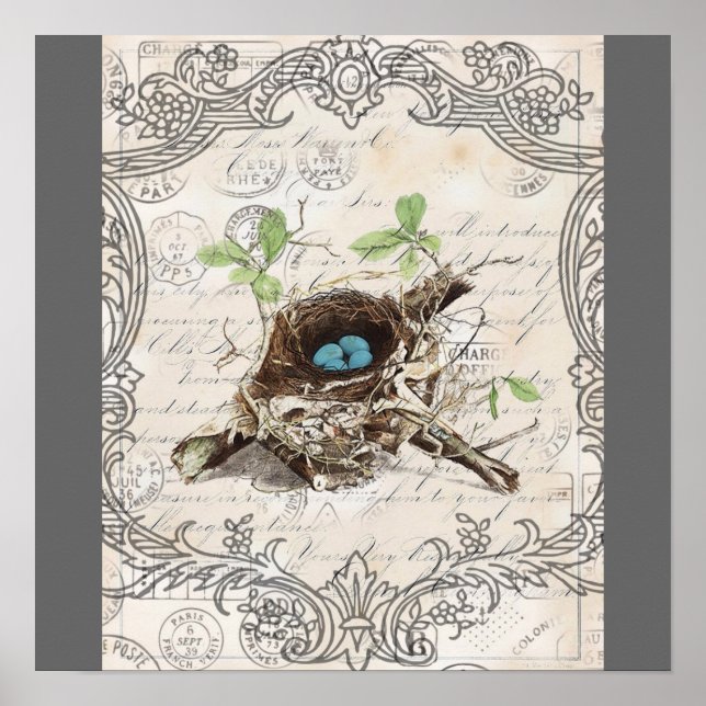 rustikal-chic-französisches botanisches Vogelnest Poster (Vorne)
