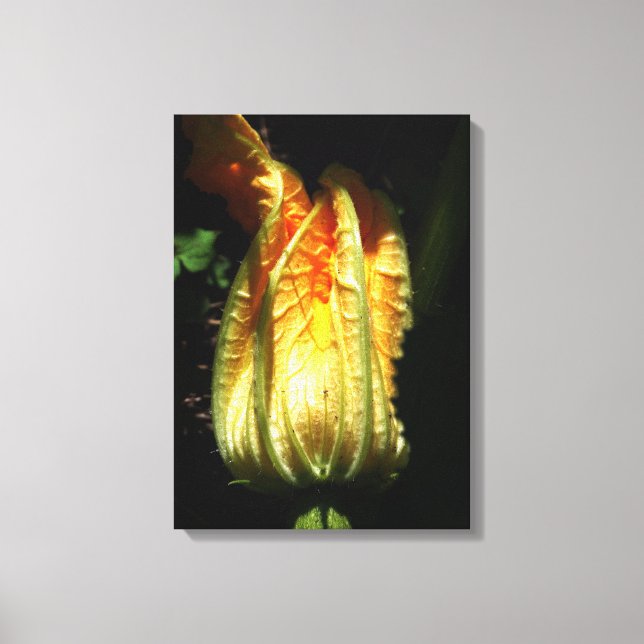 Rustikal, Pumpkin Blossom Wrapped Canvas Leinwanddruck (Vorderseite)