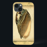 Rustikal Vintag Seashell Case-Mate iPhone Hülle<br><div class="desc">Dieses Kunstwerk von Vision Studio erfasst einige der besten Meereslebewesen. Holen Sie sich dieses rustikale Kunstwerk dieser Conch-Muschel. Nimm das Meer mit,  wohin du auch gehst.</div>