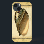 Rustikal Vintag Seashell Case-Mate iPhone Hülle<br><div class="desc">Dieses Kunstwerk von Vision Studio erfasst einige der besten Meereslebewesen. Holen Sie sich dieses rustikale Kunstwerk dieser Conch-Muschel. Nimm das Meer mit,  wohin du auch gehst.</div>
