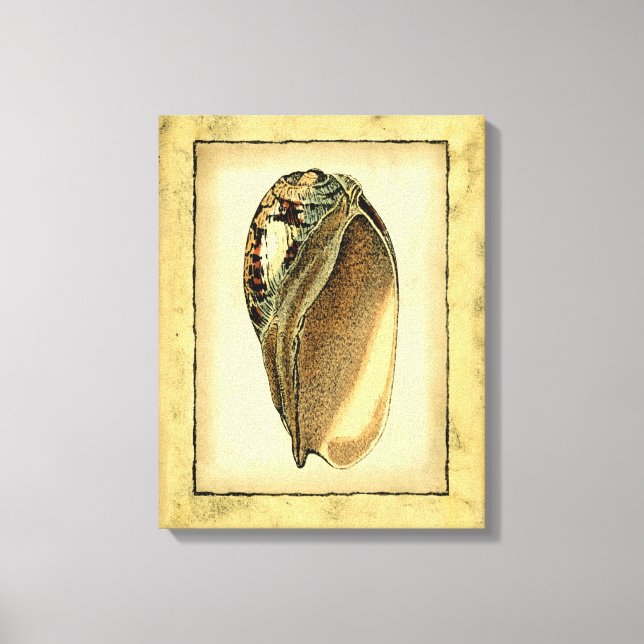 Rustikal Vintag Seashell Leinwanddruck (Vorderseite)