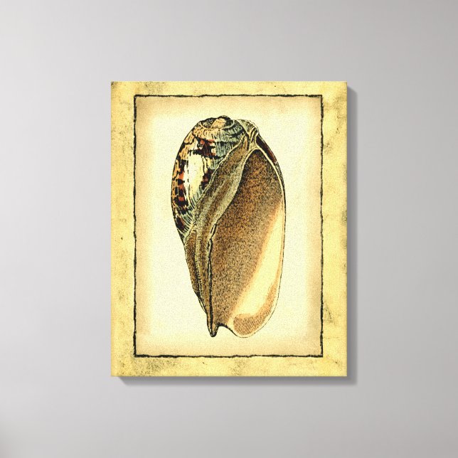 Rustikal Vintag Seashell Leinwanddruck (Vorderseite)